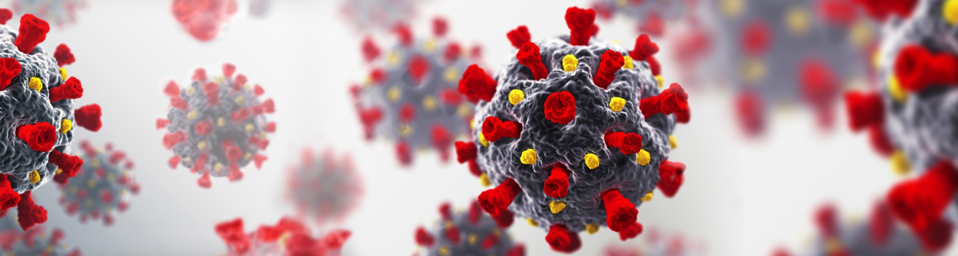 Coronavirus_banner5.jpg