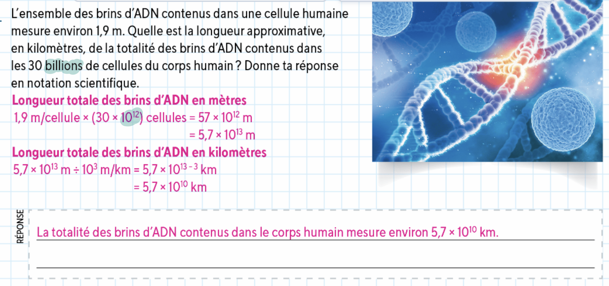 Capture d’écran, le 2024-09-26 à 12.43.04.png