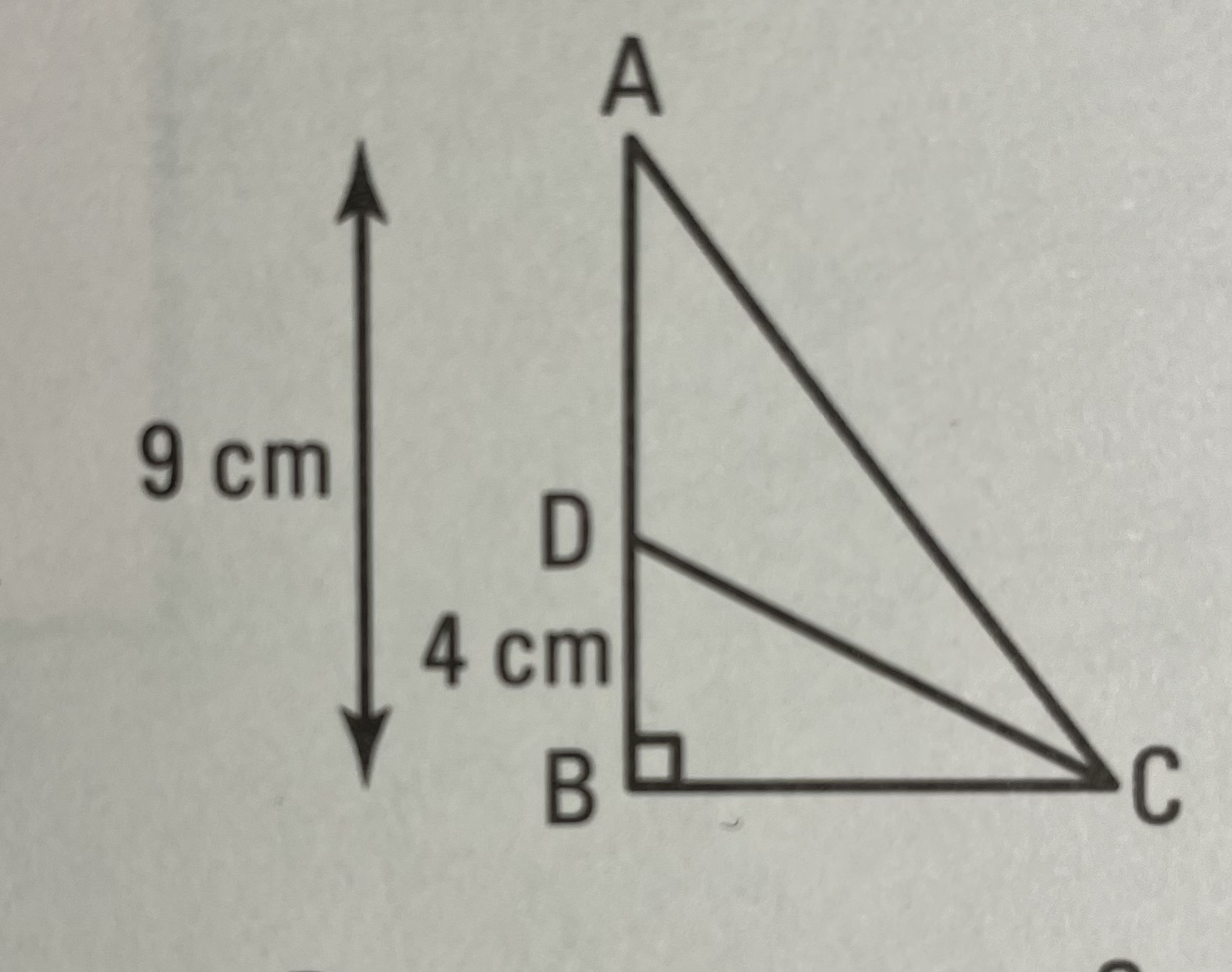 20138AB8-0EB9-45F2-AD9D-DCE89551930E.jpeg