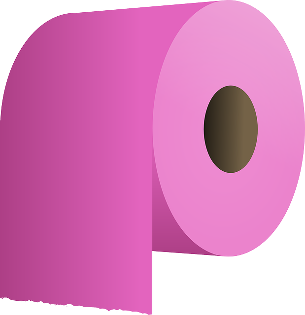 toilet-30328_640.png