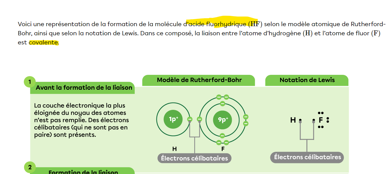 Capture d’écran 2024-10-23 063742.png