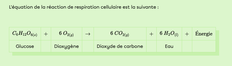 Capture d’écran, le 2022-04-05 à 18.08.23.png