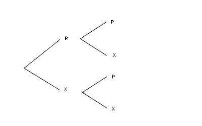 arbre-prob_2x2.jpg