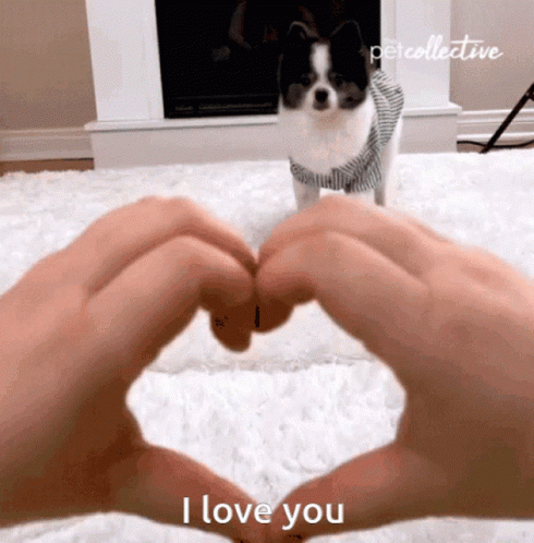 ILoveYouPuppyGIF.gif