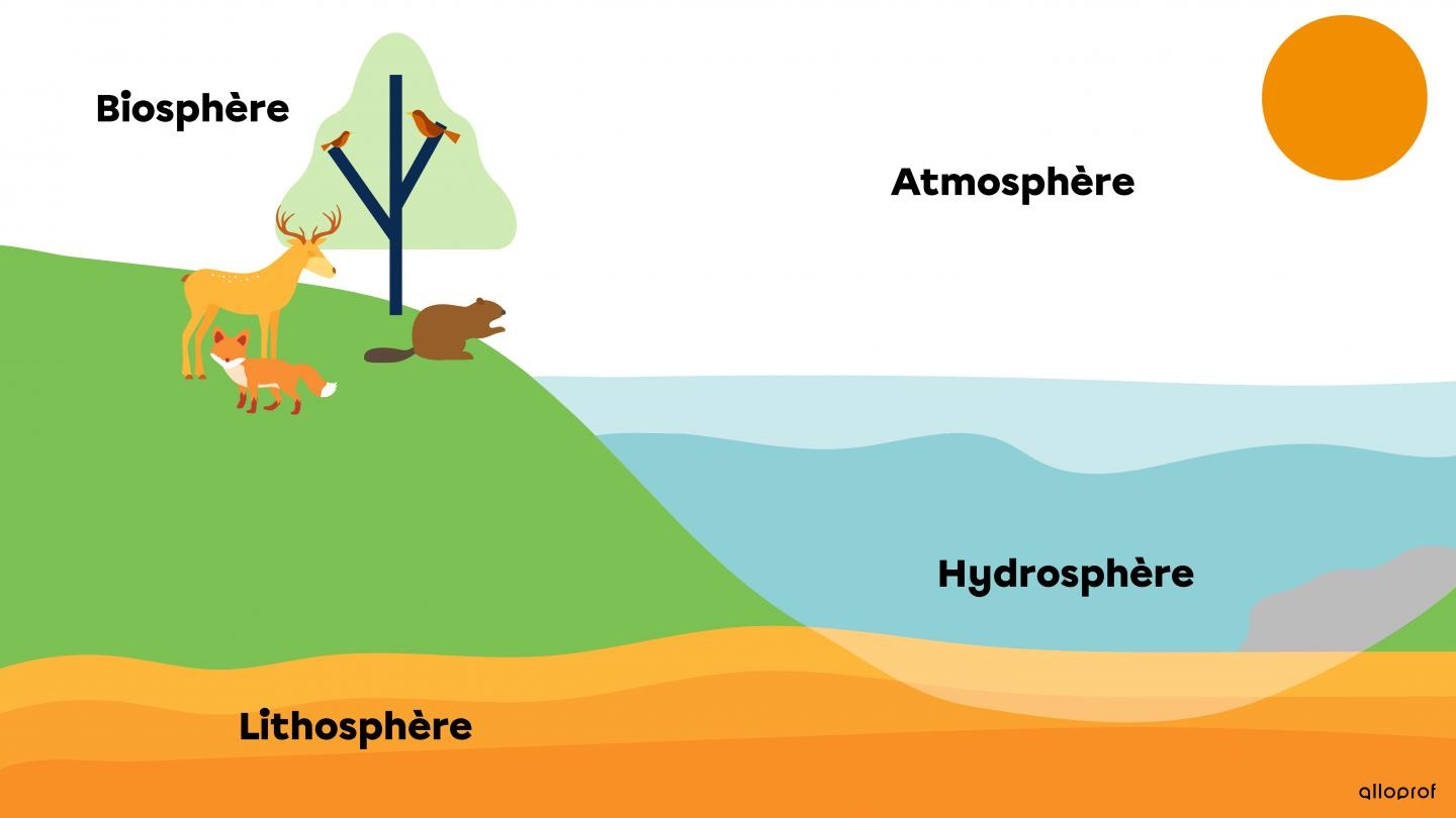 caracteristiques-biomes-Terre-(is1325-1).jpg