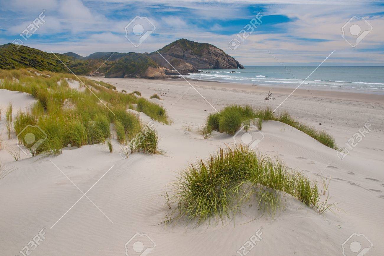 38531283-dunes-de-sable-et-la-végétation-herbacée-au-belle-plage-wharariki-1.jpg