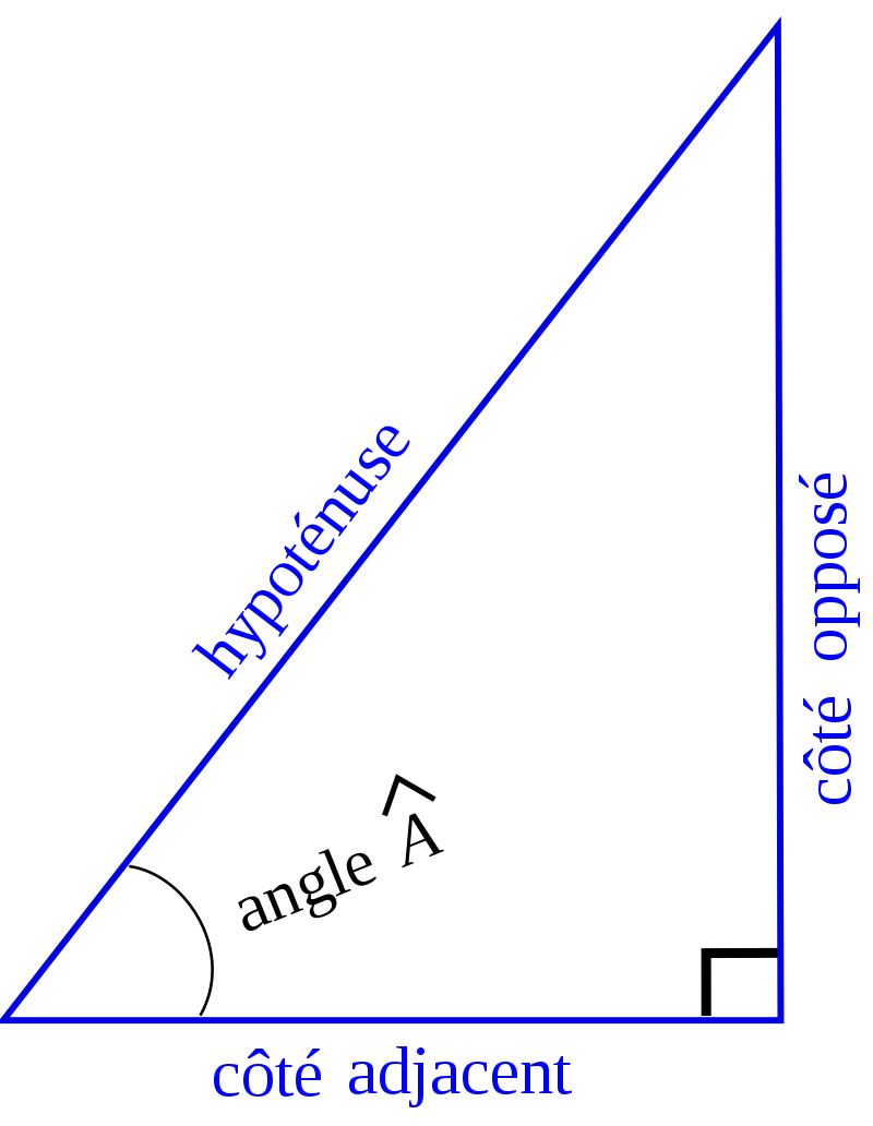 800px-Triangle_rectangle_trigo.svg.png